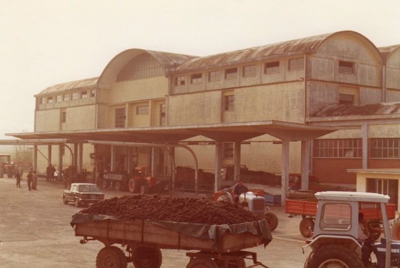 immagine di repertorio della cantina valtidone, vendemmia