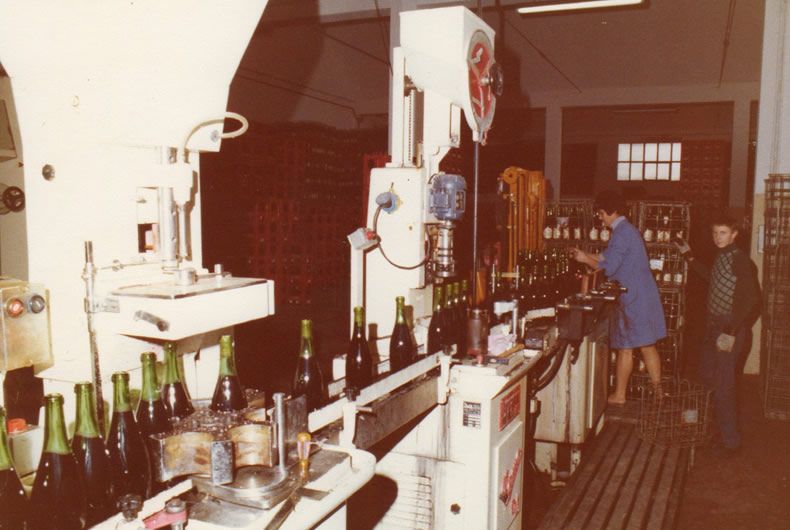 la cantina valtidone, immagine repertorio, produzione vino