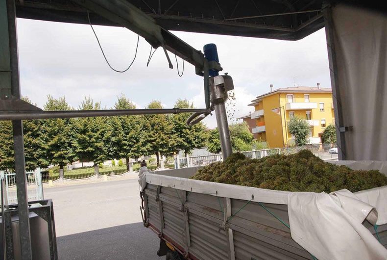 pigiatura dell'uva con attrezzo meccanico