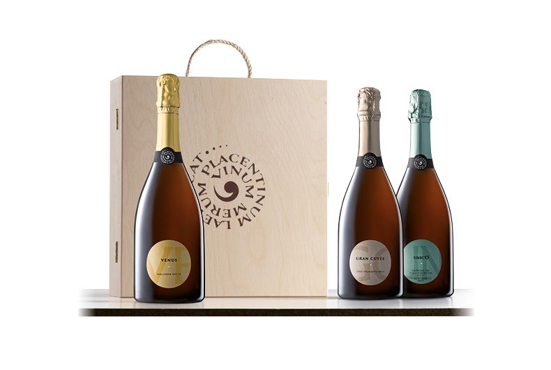 Bottiglie di vino spumante con confezione regalo in legno. Catalogo vini Natale.