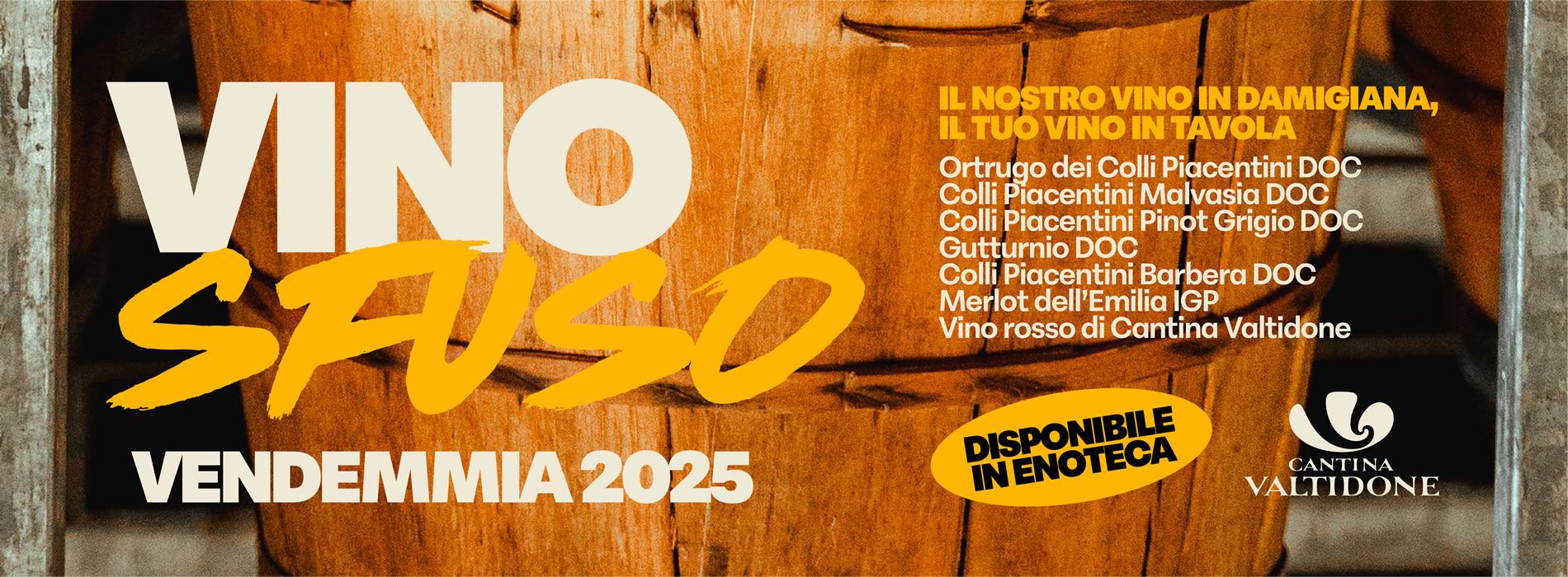 Vino sfuso di Cantina Valtidone, vendemmia 2025. Selezione di vini rossi e bianchi DOC e IGP. Disponibile in enoteca.