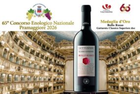 Cantina Valtidone vince l'oro al Concorso di Pramaggiore 2026 con Gutturnio Bollo Rosso Classico Superiore DOC. Eccellenza vinicola italiana.