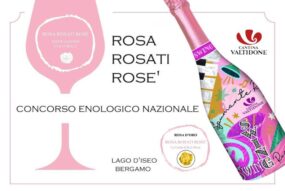 Bottiglia di spumante Swing di Cantina Valtidone con etichetta colorata accanto al logo del Concorso Enologico Nazionale Rosa Rosati Rosé.