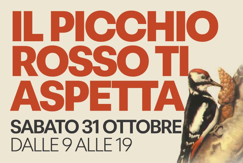 Locandina con grande scritta arancione 'IL PICCHIO ROSSO TI ASPETTA' e picchio rosso su pigna