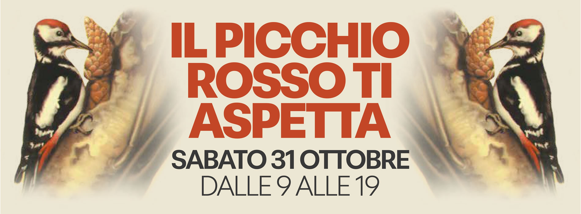 Manifesto con testo rosso 'IL PICCHIO ROSSO TI ASPETTA' e picchi rossi su pigne, evento sabato 31 ottobre dalle 9 alle 19.