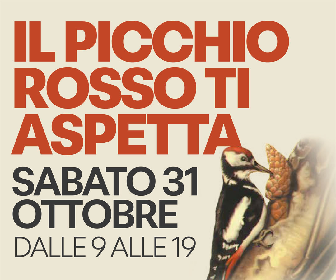 Grande scritta arancione 'IL PICCHIO ROSSO TI ASPETTA' con data sabato 31 ottobre e orario 9-19, picchio rosso su pigna.